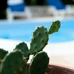 Konukevi Trullo Dimora Della Valle Locorotondo