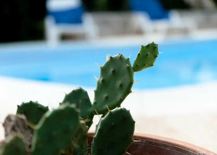 Gasthof Trullo Dimora Della Valle Locorotondo